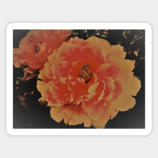 peony, House of Harlequin Sticker